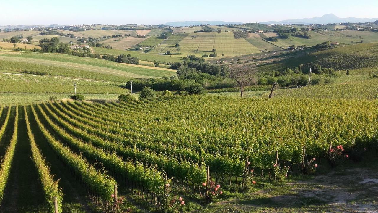 B & B Il Sicomoro Montecarotto Exterior foto